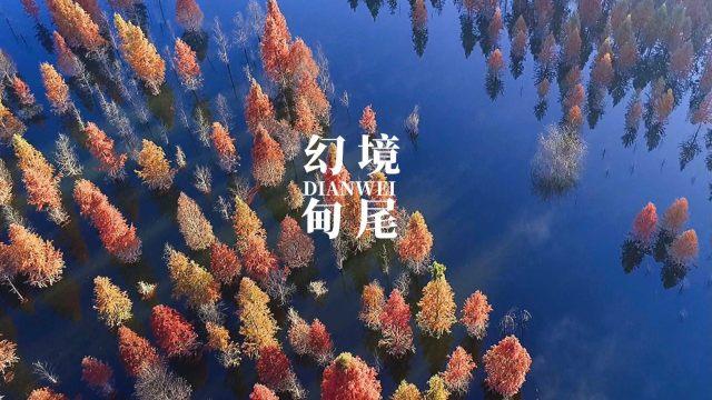 音影先锋影院-智能问答网页
